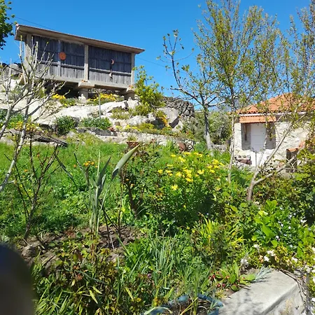 Maison d'hôtes São Lourenço Viseu